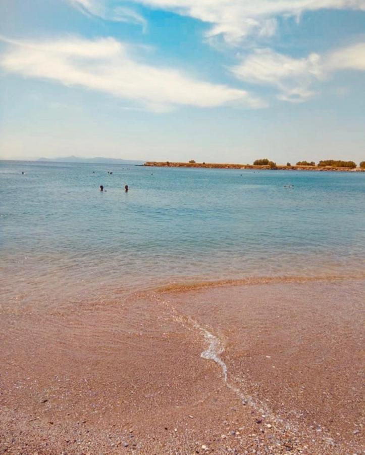 Modern Apt In Glyfada A Breath Away From The Sea - The View Афіни Екстер'єр фото